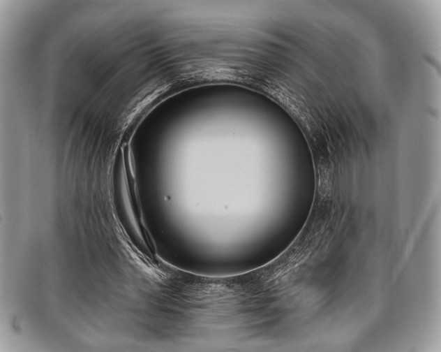 X0000098050390200804071513