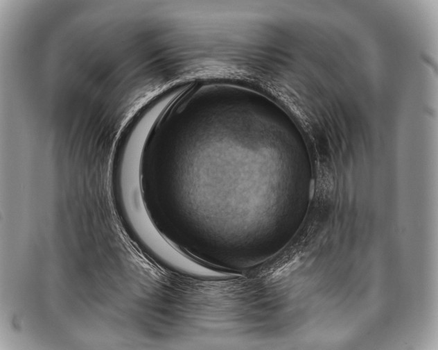 X0000098050391200804071513