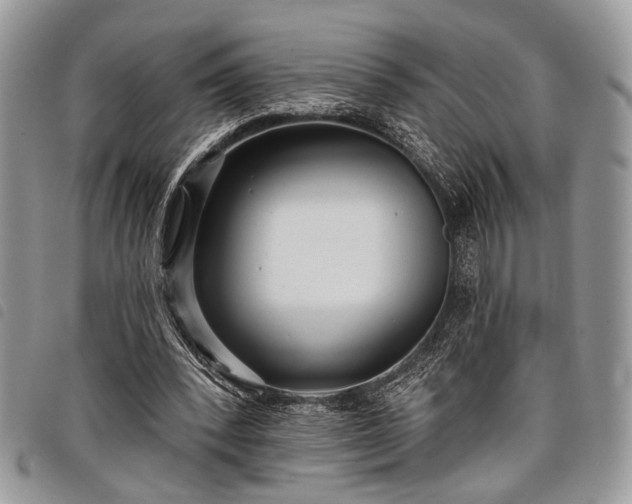 X0000098050392200804071513