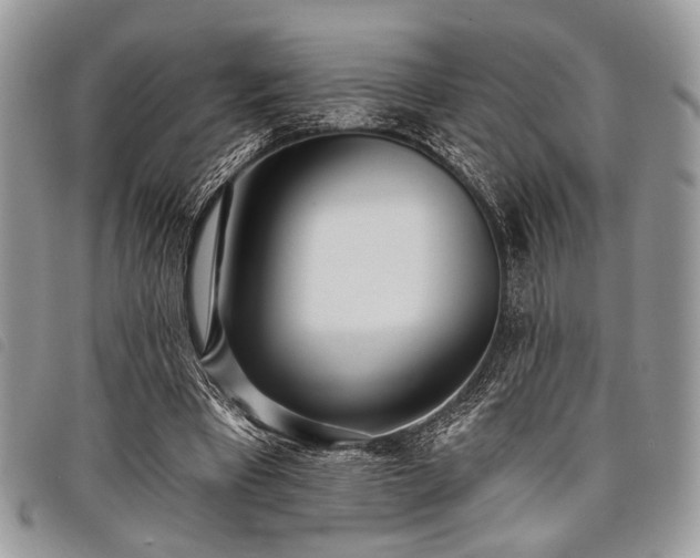 X0000098050393200804071513