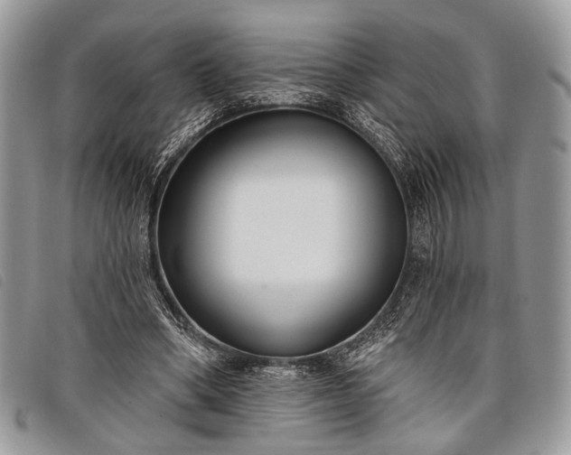 X0000098050394200804071513