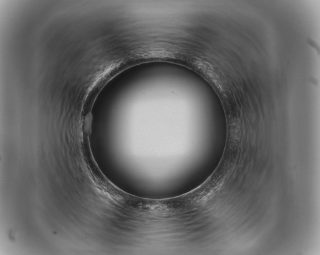 X0000098050395200804071513