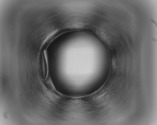 X0000098050396200804071513