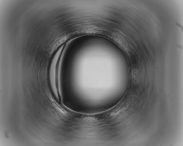 X0000098050397200804071513