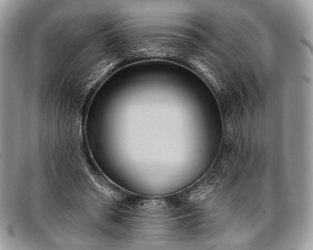 X0000098050398200804071513