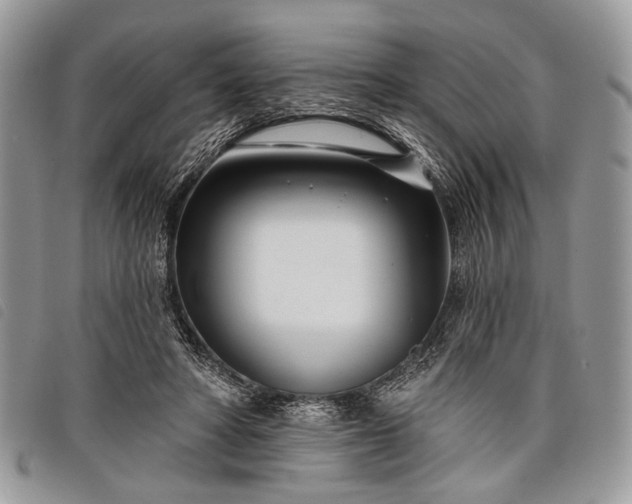 X0000098050402200804071513