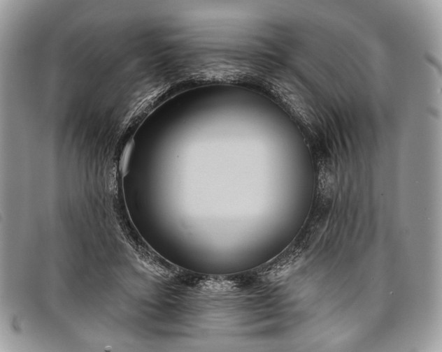 X0000098050403200804071513