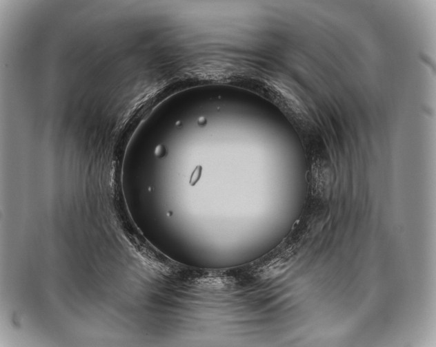 X0000098050404200804071513