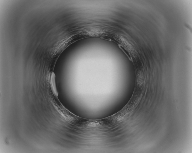 X0000098050405200804071513