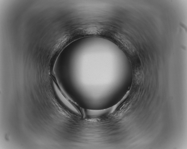 X0000098050407200804071512