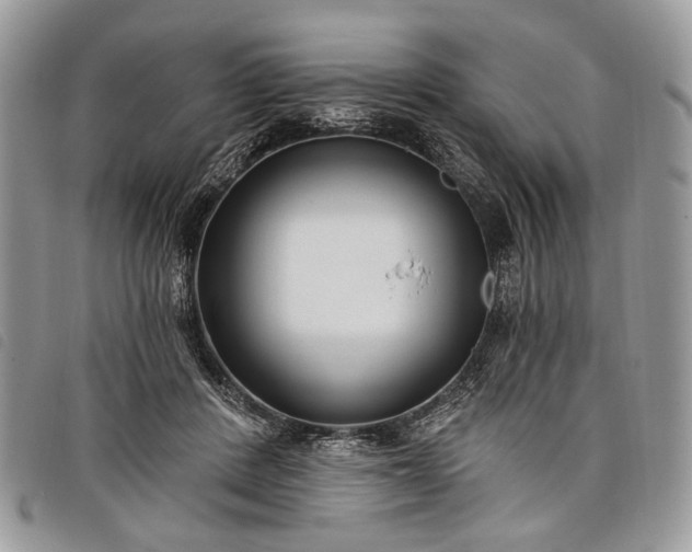 X0000098050408200804071512