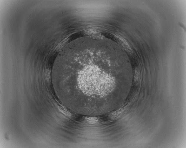 X0000098050409200804071512