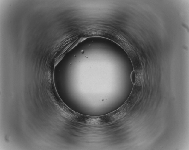 X0000098050410200804071512