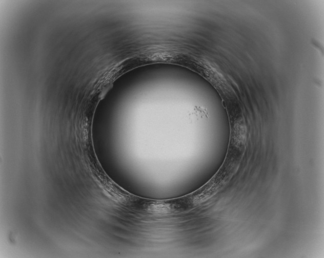 X0000098050413200804071512