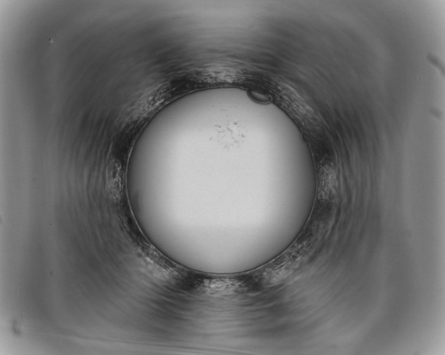 X0000098050414200804071512