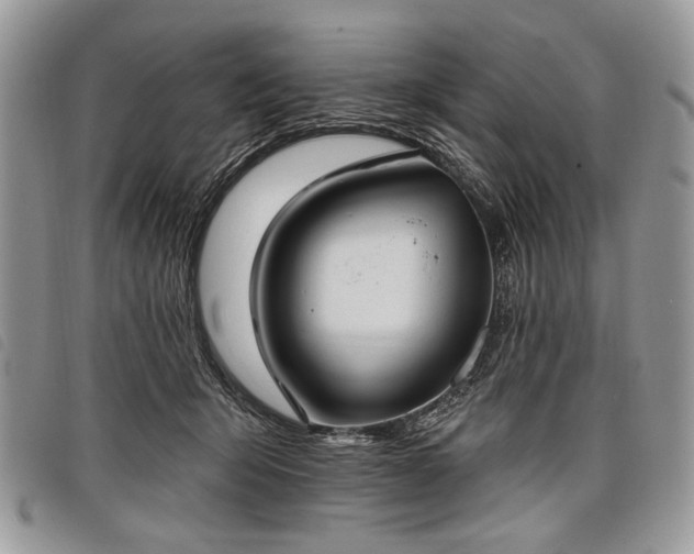 X0000098050415200804071512