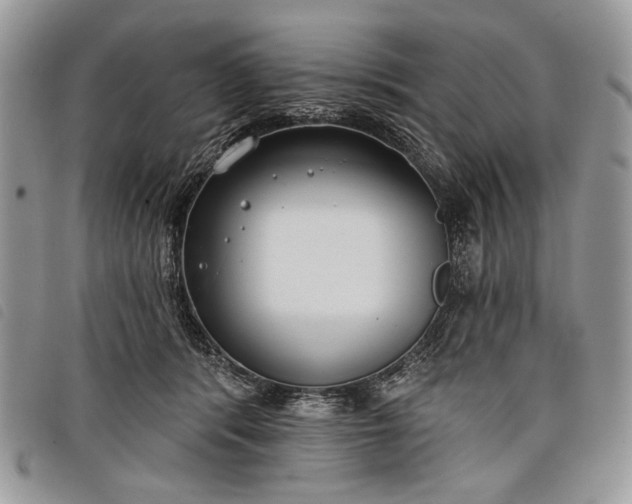 X0000098050416200804071512