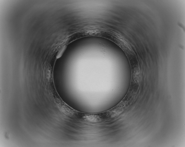 X0000098050417200804071512