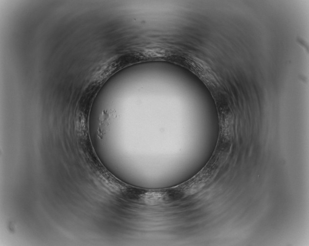 X0000098050418200804071512