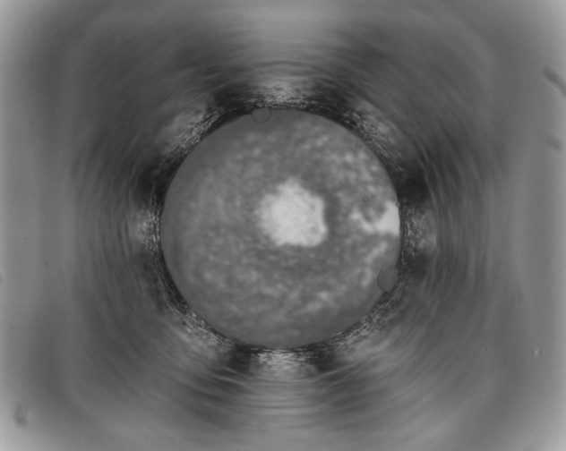 X0000098050419200804071512