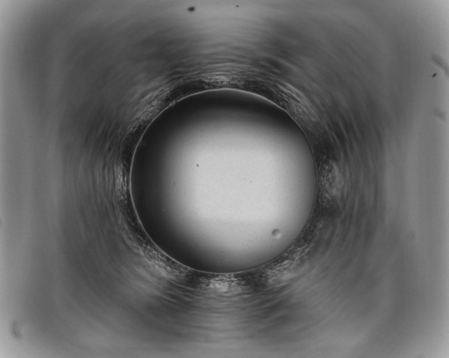 X0000098050420200804071512