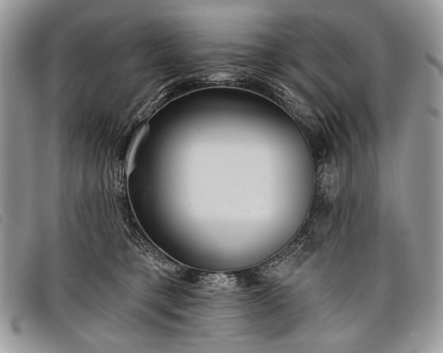 X0000098050421200804071512