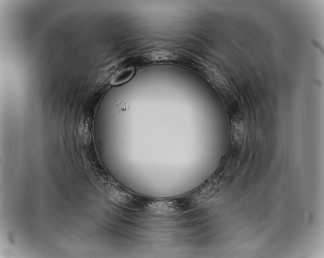 X0000098050422200804071512