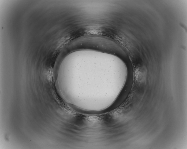 X0000098050423200804071512