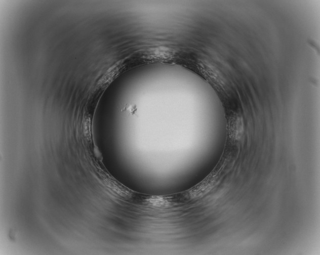 X0000098050425200804071512