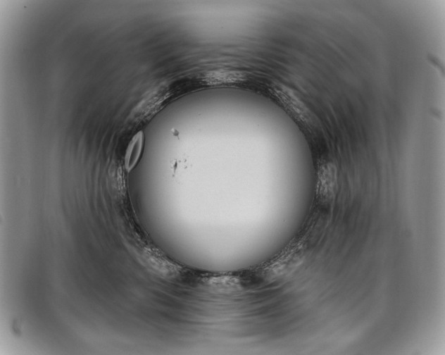 X0000098050426200804071512