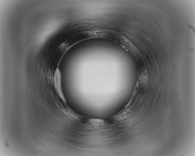 X0000098050429200804071512