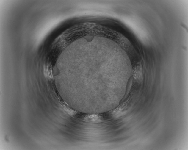 X0000098050431200804071512