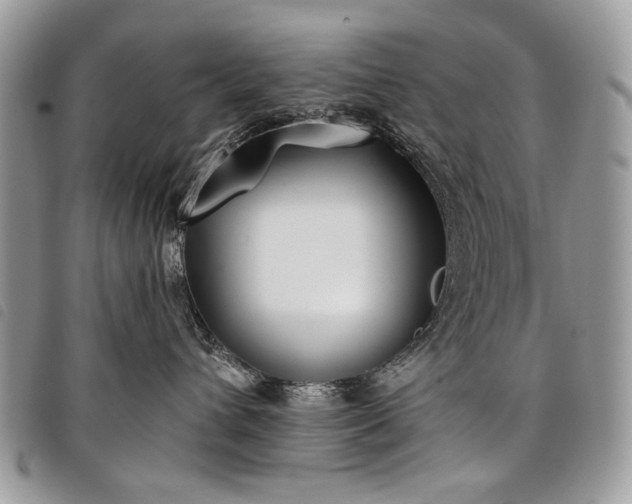 X0000098050432200804071512