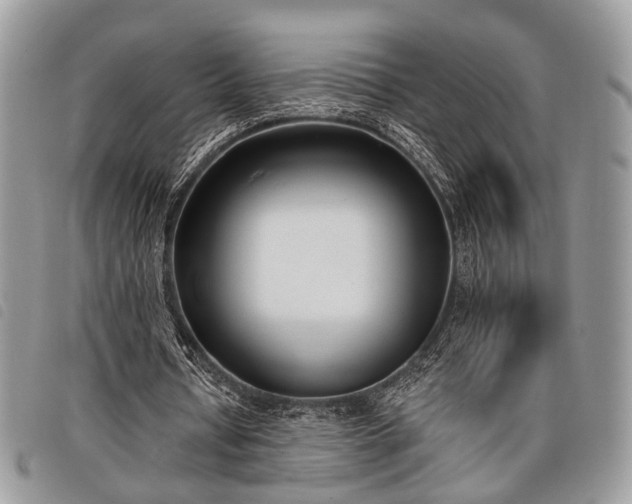 X0000098050434200804071511