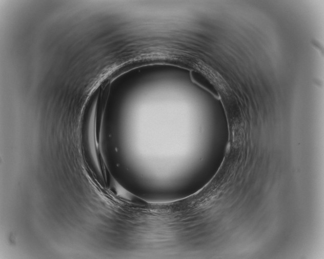 X0000098050436200804071511