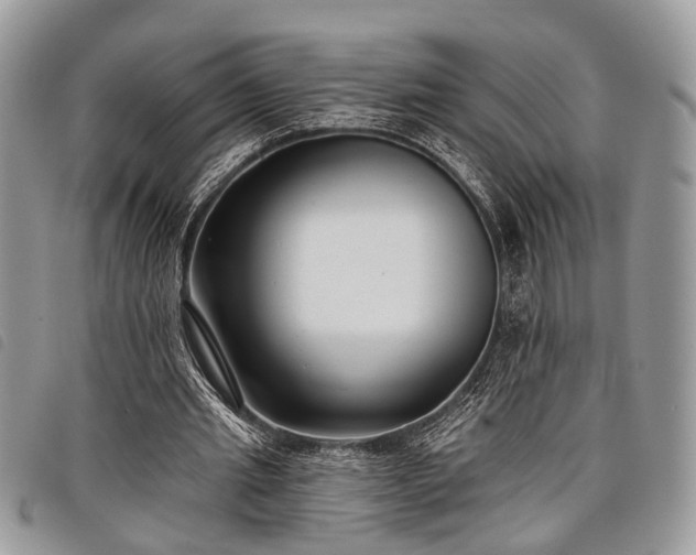 X0000098050437200804071511