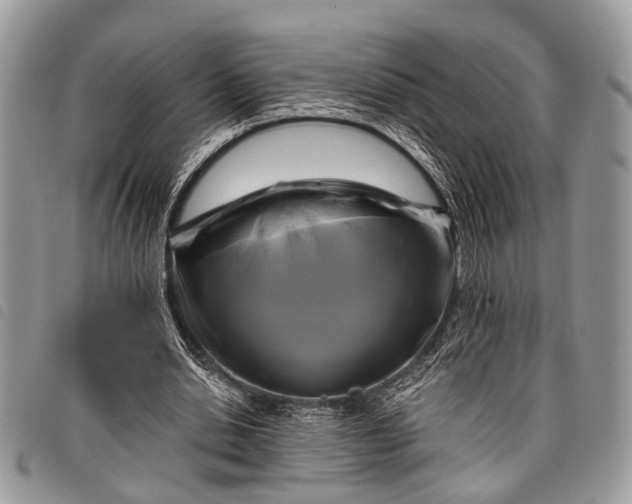 X0000098050438200804071511