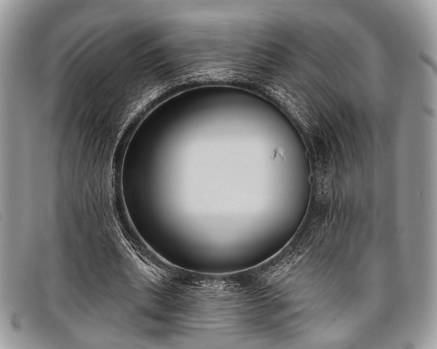 X0000098050439200804071511