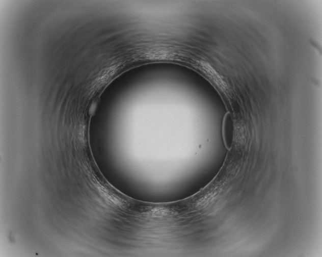 X0000098050441200804071511