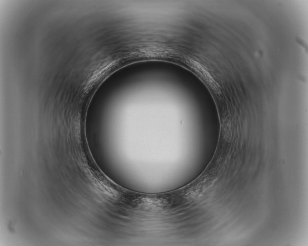 X0000098050442200804071511