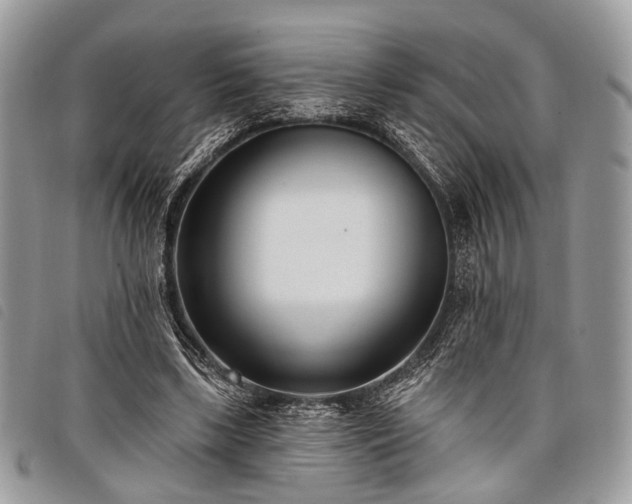 X0000098050443200804071511