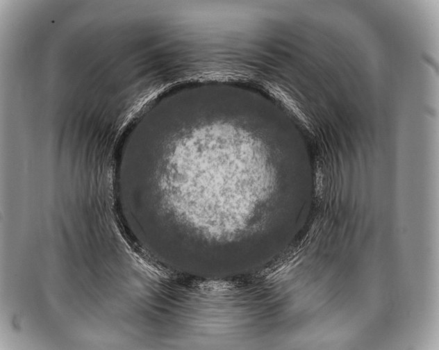 X0000098050444200804071511