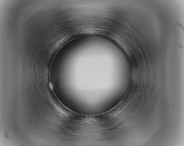 X0000098050445200804071511