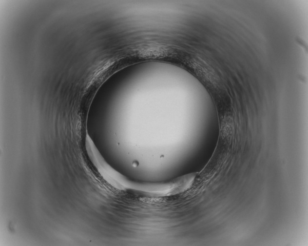 X0000098050448200804071511