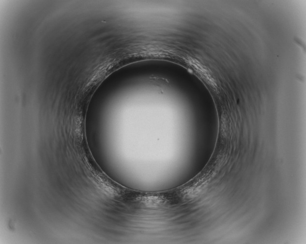 X0000098050449200804071512