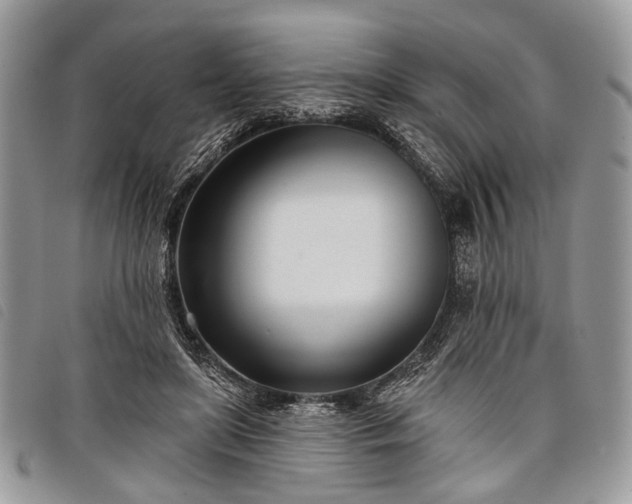 X0000098050451200804071512