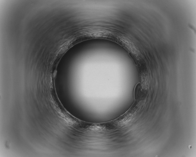 X0000098050453200804071512