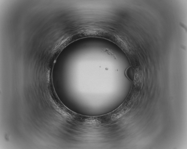 X0000098050454200804071512