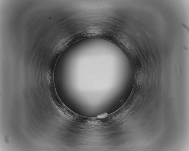 X0000098050455200804071512