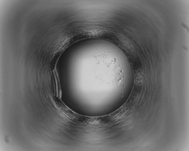 X0000098050456200804071512